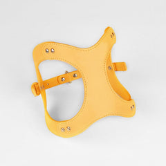 Pet Adventure Leash Set