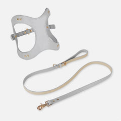 Pet Adventure Leash Set