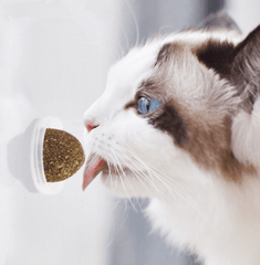 Minty Fun Catnip Ball Toy Set - Interactive Pet Supplies For Playful Cats