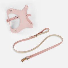 Pet Adventure Leash Set