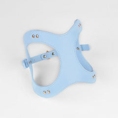Pet Adventure Leash Set
