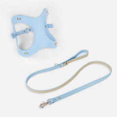Pet Adventure Leash Set