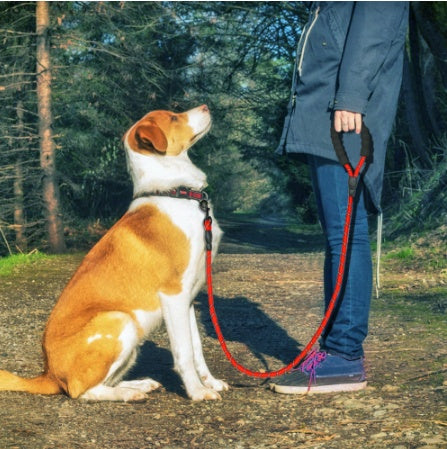 Reflective Nylon Dog Leash Durable Training Walking Pet Rope