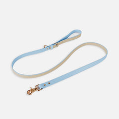 Pet Adventure Leash Set
