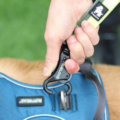Elastic Dog Leash Hands Free Running Waist Outdoor Training