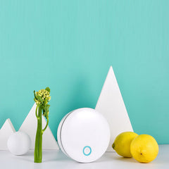 Intelligent Pet Deodorizer Second Generation Litter Box Odor Control