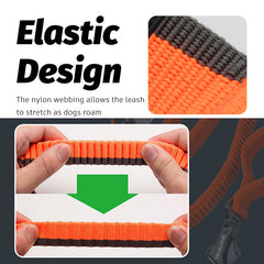Elastic Dog Leash Hands Free Running Waist Outdoor Training