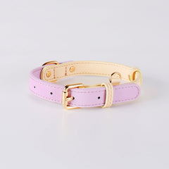 2-Tone Leather Dog Collar – Adjustable & Stylish Pet Walking Accessories