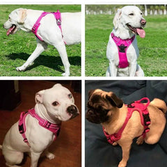 Reflective Adjustable Pet Dog Harness for All Sizes