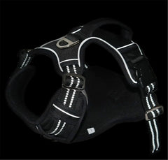 Durable Waterproof Pet Harness with Vertical Handle