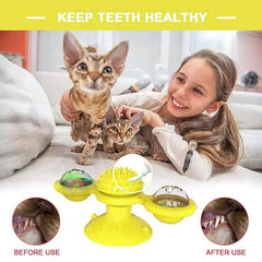 Cat Teases Interactive Pet Toy