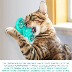 Cat Teases Interactive Pet Toy