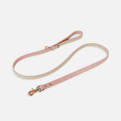 Pet Adventure Leash Set