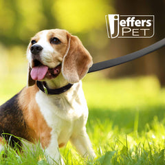 Black Padded Leather Pet Leash