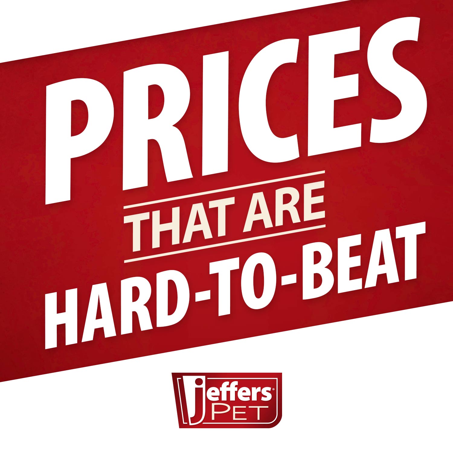 Black Padded Leather Pet Leash